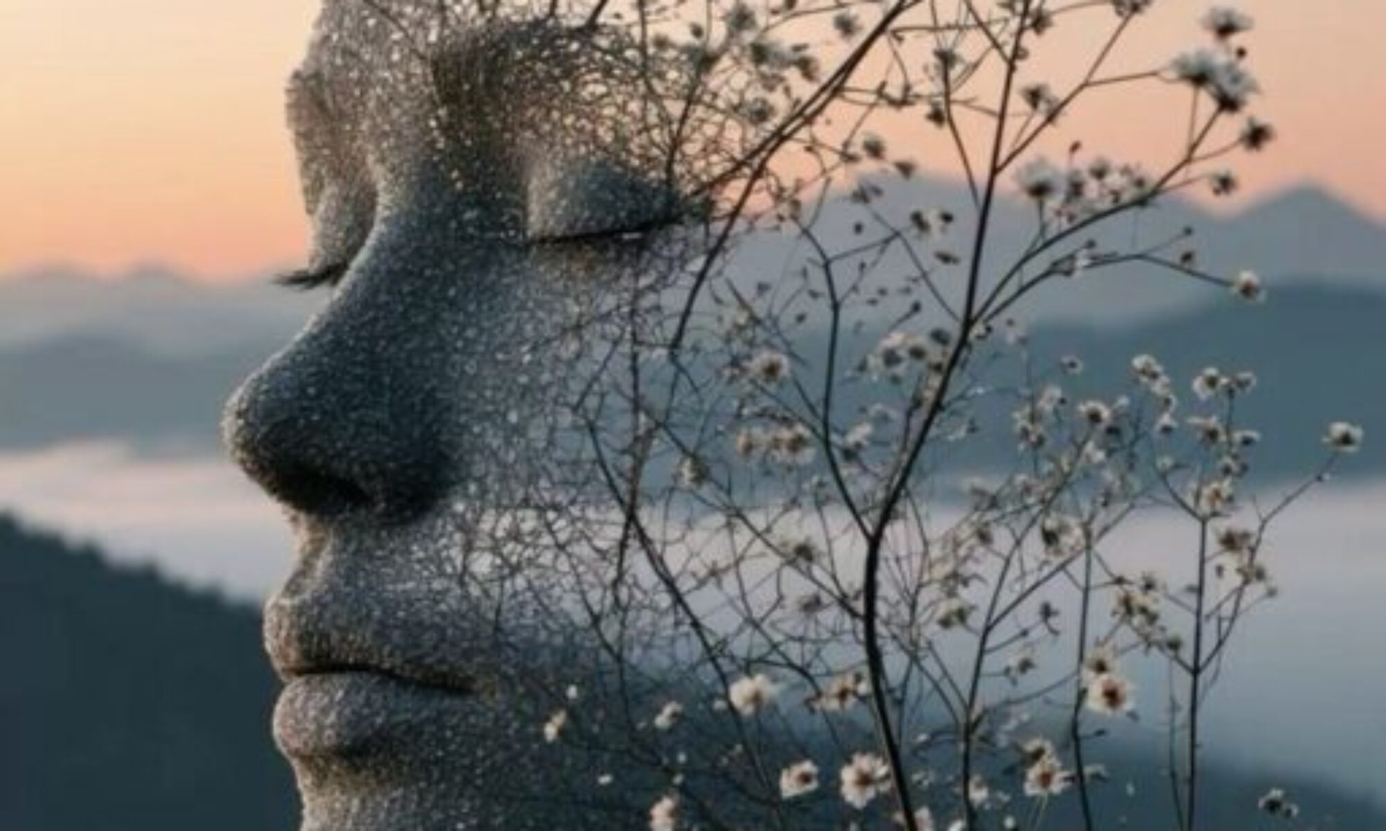 Non devo capire tutto ora. Posso iniziare.